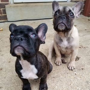 Meet your Posher, Keith